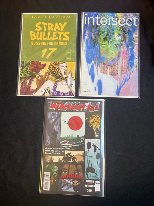 	•	Indie Visions: Crime • Art • Storytelling